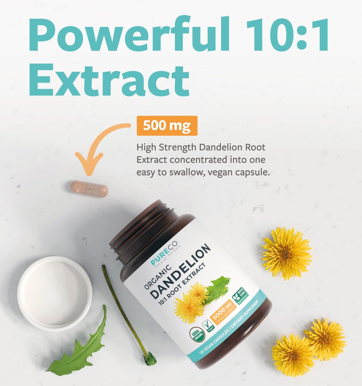 USDA Organic Dandelion Root Extract - High Potency 10:1 Dandelion Root Supplement with 5000mg Herbal Equivalent Strength for Liver Cleanse Detox & Repair Support - Vegan & Non-GMO (2 Month Supply) - PrimeBioHealth - canada supplements