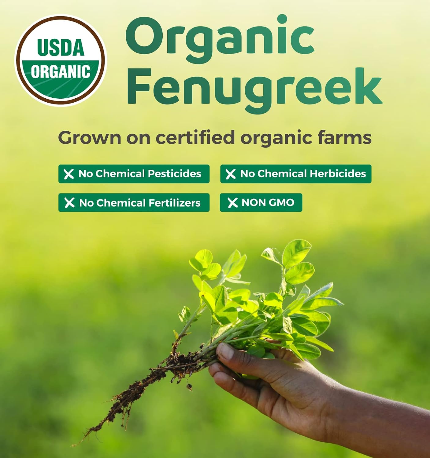 USDA Organic Fenugreek Capsules for Women - Effective Lactation Supplement for Increased Breast Milk Supply - Herbal Breastfeeding Support for Mothers - Gluten Free - 60 Vegan Capsules (No Pills) - PrimeBioHealth - canada supplements