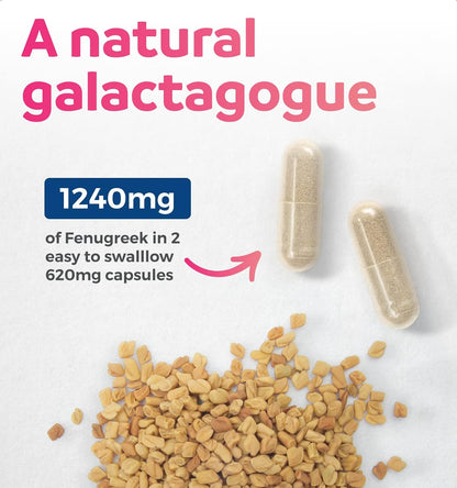 USDA Organic Fenugreek Capsules for Women - Effective Lactation Supplement for Increased Breast Milk Supply - Herbal Breastfeeding Support for Mothers - Gluten Free - 60 Vegan Capsules (No Pills) - PrimeBioHealth - canada supplements