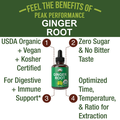 USDA Organic Ginger Root Extract Liquid Drops. Zero Sugar, Non Bitter Vegan Ginger Oil Supplement for Immune, Digestive + Gut Support. High Bioavailability, Gluten Free for Women and Men. Take Orally - PrimeBioHealth - canada supplements