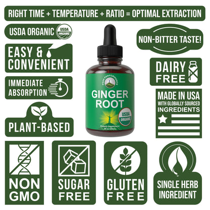 USDA Organic Ginger Root Extract Liquid Drops. Zero Sugar, Non Bitter Vegan Ginger Oil Supplement for Immune, Digestive + Gut Support. High Bioavailability, Gluten Free for Women and Men. Take Orally - PrimeBioHealth - canada supplements