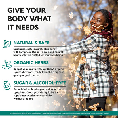 USDA Organic Lymphatic Drainage Supplement - Echinacea | Elderberry | Dandelion | Rosehip | Cleavers | Calendula | Burdock - Made in USA - Lymph System Drops - PrimeBioHealth - canada supplements