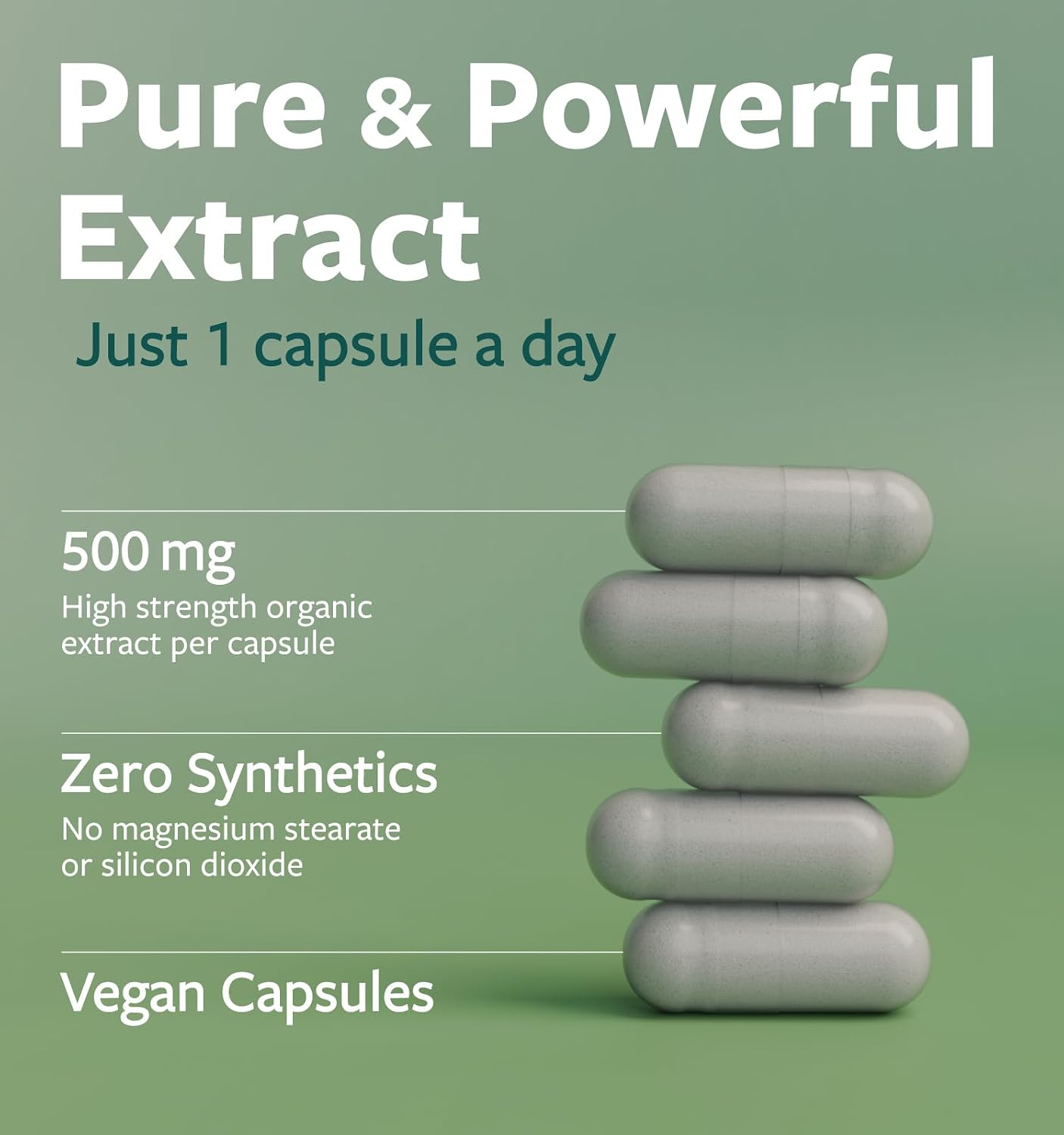 USDA Organic Moringa Capsules - High Potency Organic Moringa 500mg Extract 10:1 Per 1 Capsule Serving - Nutrient Dense Green Superfood Antioxidant - Vegan & Non-GMO Moringa (2 Month Supply) - PrimeBioHealth - canada supplements