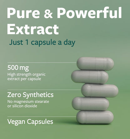 USDA Organic Moringa Capsules - High Potency Organic Moringa 500mg Extract 10:1 Per 1 Capsule Serving - Nutrient Dense Green Superfood Antioxidant - Vegan & Non-GMO Moringa (2 Month Supply) - PrimeBioHealth - canada supplements