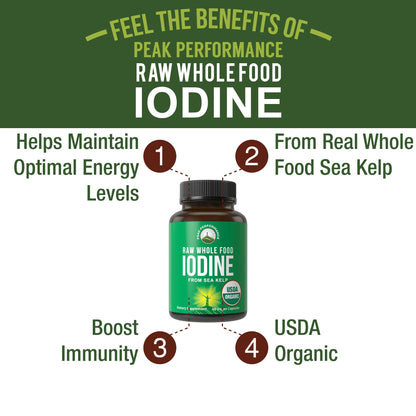 USDA Organic Raw Whole Food Iodine Supplement from Kelp (Ascophyllum Nodosum) - Potassium Iodide Tablets Alternative - for Thyroid, Energy, and Immune Support - 60 Vegan Capsules by Peak Performance - PrimeBioHealth - canada supplements
