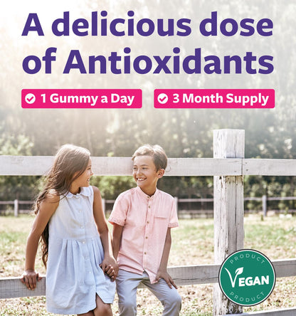 Vegan Sambucus Elderberry Gummies for Adults - Black Elderberry Vitamin C and Zinc Gummies for Daily and Seasonal Wellness - Delicious and Nutritious Immune Support Gummy (1 Month Supply) - PrimeBioHealth - canada supplements