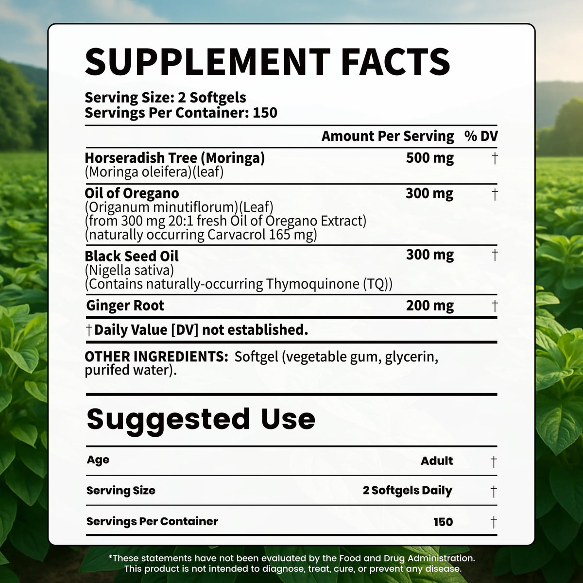 VEV Oil of Oregano with Black Seed Oil & Moringa, Organic, 300 Softgels, Aceite de Orégano, Carvacrol-Rich, Opaque Airtight Packaging - PrimeBioHealth - canada supplements