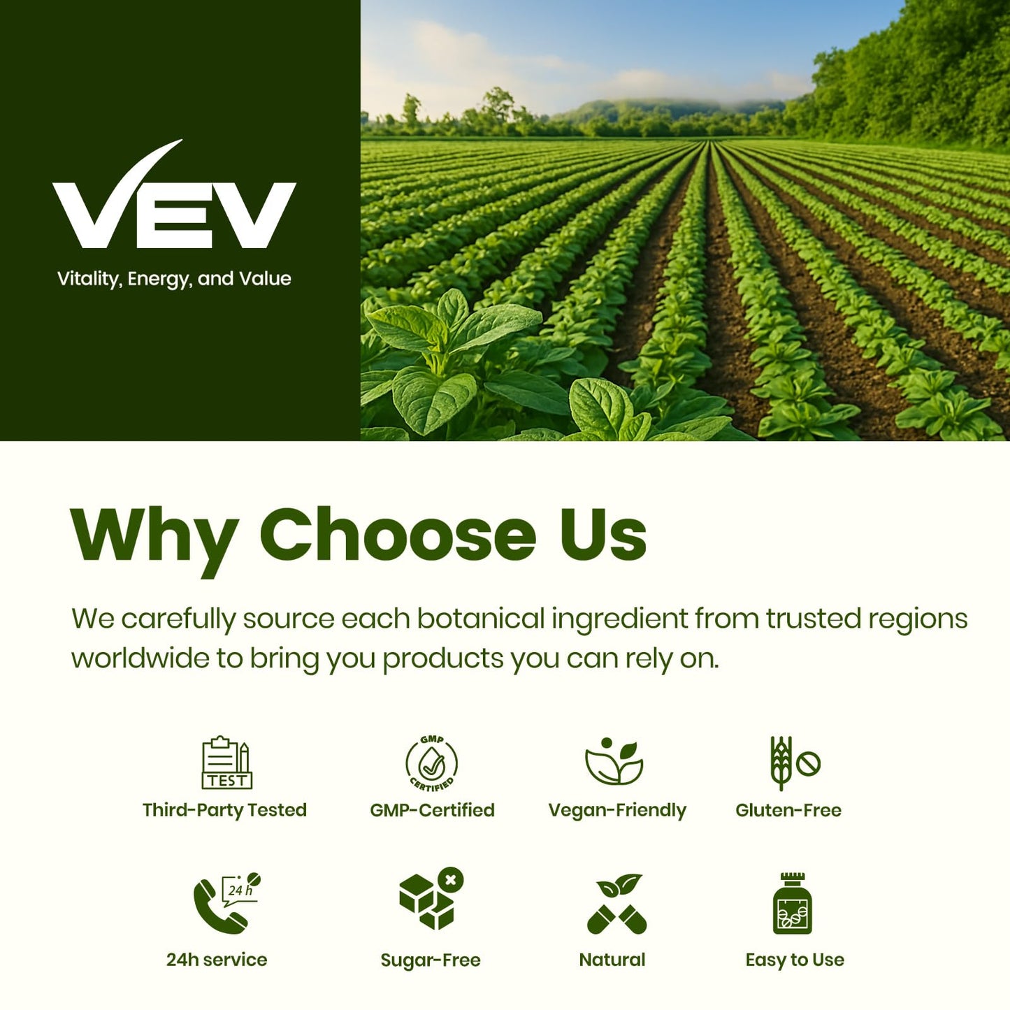 VEV Oil of Oregano with Black Seed Oil & Moringa, Organic, 300 Softgels, Aceite de Orégano, Carvacrol-Rich, Opaque Airtight Packaging - PrimeBioHealth - canada supplements