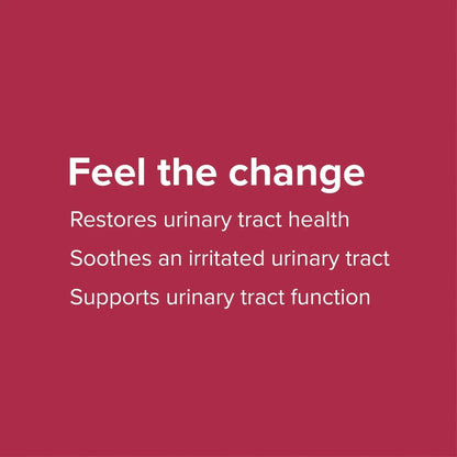 Vibrant Health, U.T. Vibrance Powder, Crisis Intervention for Urinary Tract Health, 10 Servings - PrimeBioHealth - canada supplements