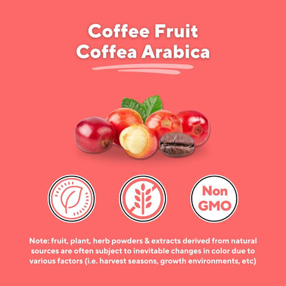 Vitacoffee Caffeine Pills - Coffee Fruit, Vitamin C, Vitamin D, Zinc Gluconate - Energy, Memory, Focus, Antioxidant, Skin Support - 60 Veggie Capsules - Non-GMO, Gluten-Free, Vegan Supplement - PrimeBioHealth - canada supplements
