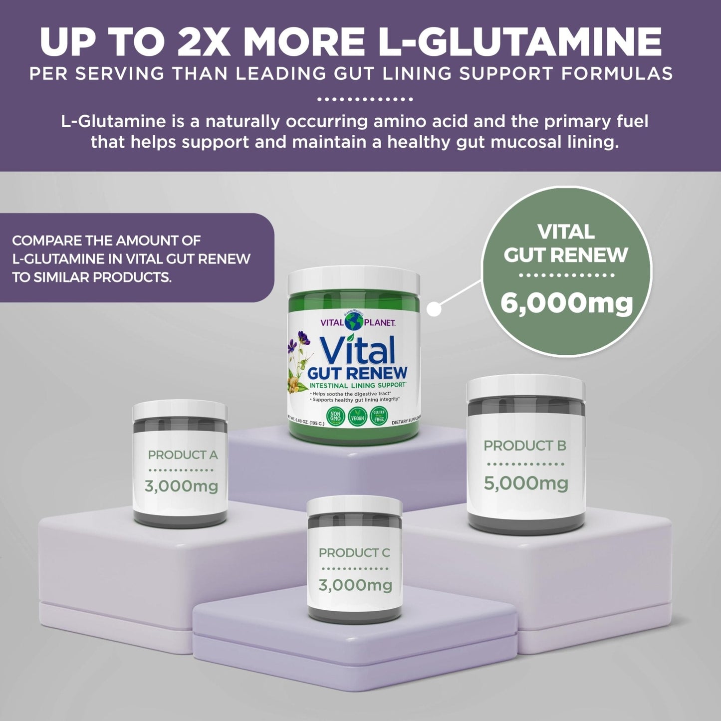 Vital Planet - Vital Gut Renew Powder Supplement for Leaky Gut Repair with L-Glutamine, Marshmallow and Ginger Root, DGL Licorice Root and Organic - PrimeBioHealth - canada supplements