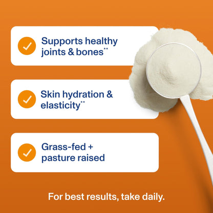 Vital Proteins® Pumpkin Spice Collagen Peptides, 20g Collagen Peptides, Healthy Hair, Skin, Nails & Joints - PrimeBioHealth - canada supplements