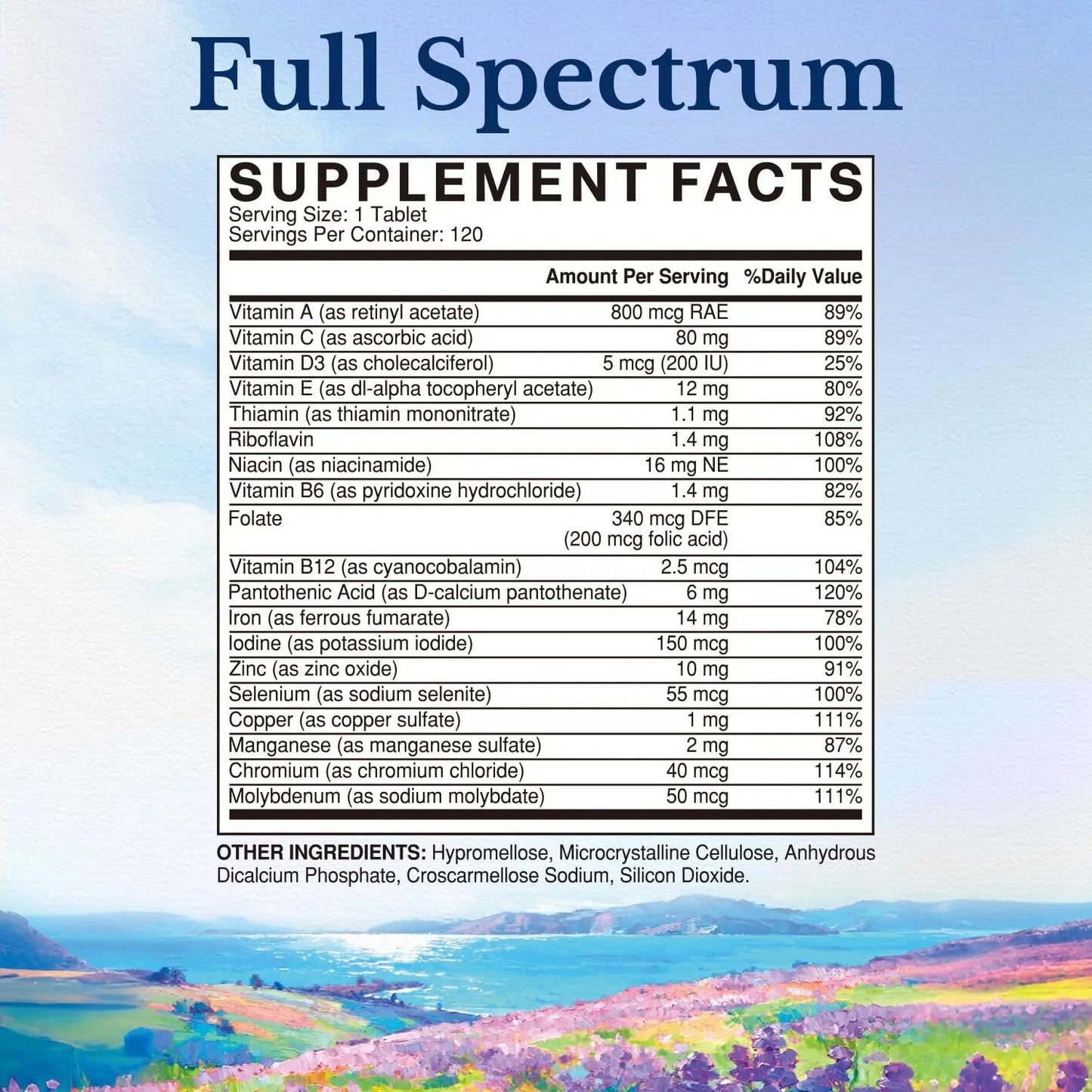 Vitalitown Multivitamin for Women & Men, with Iron, Zinc, Vitamin D3, A, C, B, E, 19 Key Nutrients, One Per Day - PrimeBioHealth - canada supplements