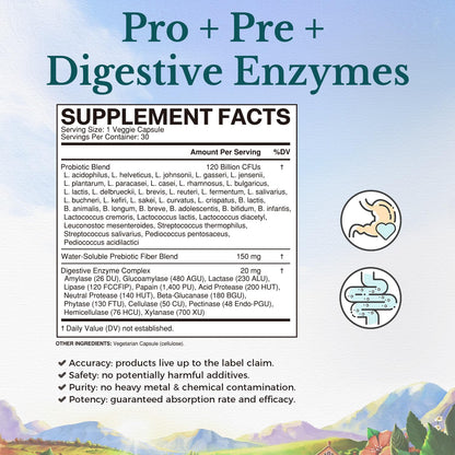 VITALITOWN Probiotics 120 Billion CFUs | 36 Strains, with Prebiotics & Digestive Enzymes for Men Women | Shelf Stable | Digestive Health & Immune Support - PrimeBioHealth - canada supplements