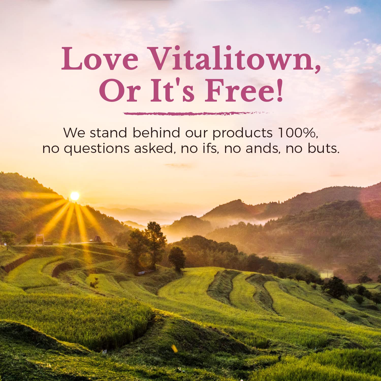 Vitalitown Probiotics for Women 120 Billion CFUs, 30 Strains, with Prebiotics & Digestive Enzymes & Cranberry, Gut & Vaginal Health, Vegan 30 - PrimeBioHealth - canada supplements