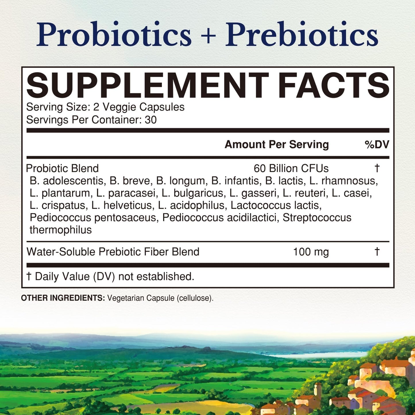 Vitalitown Probiotics + Prebiotics | 60 Billion CFUs 19 Strains | 60 Delayed Release Veg Caps | Shelf Stable, Prebiotics and Probiotics | Digestive Health - PrimeBioHealth - canada supplements