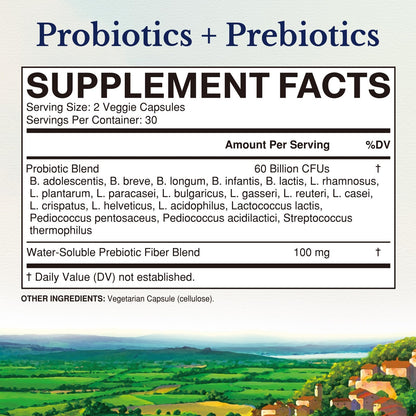 Vitalitown Probiotics + Prebiotics | 60 Billion CFUs 19 Strains | 60 Delayed Release Veg Caps | Shelf Stable, Prebiotics and Probiotics | Digestive Health - PrimeBioHealth - canada supplements