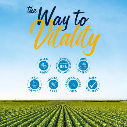 Vitalitown Probiotics + Prebiotics | 60 Billion CFUs 19 Strains | 60 Delayed Release Veg Caps | Shelf Stable, Prebiotics and Probiotics | Digestive Health - PrimeBioHealth - canada supplements