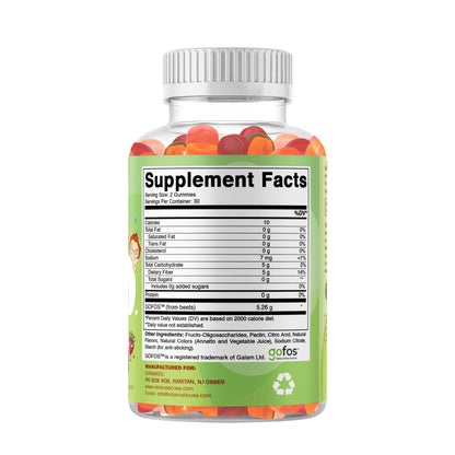 Vitamatic Kids Prebiotic Fiber Gummies – Extra Strength 4g Fiber – Zero Sugar Added – 60 Pectin-Based Gummies – Digestive Health & Regularity Support - PrimeBioHealth - canada supplements
