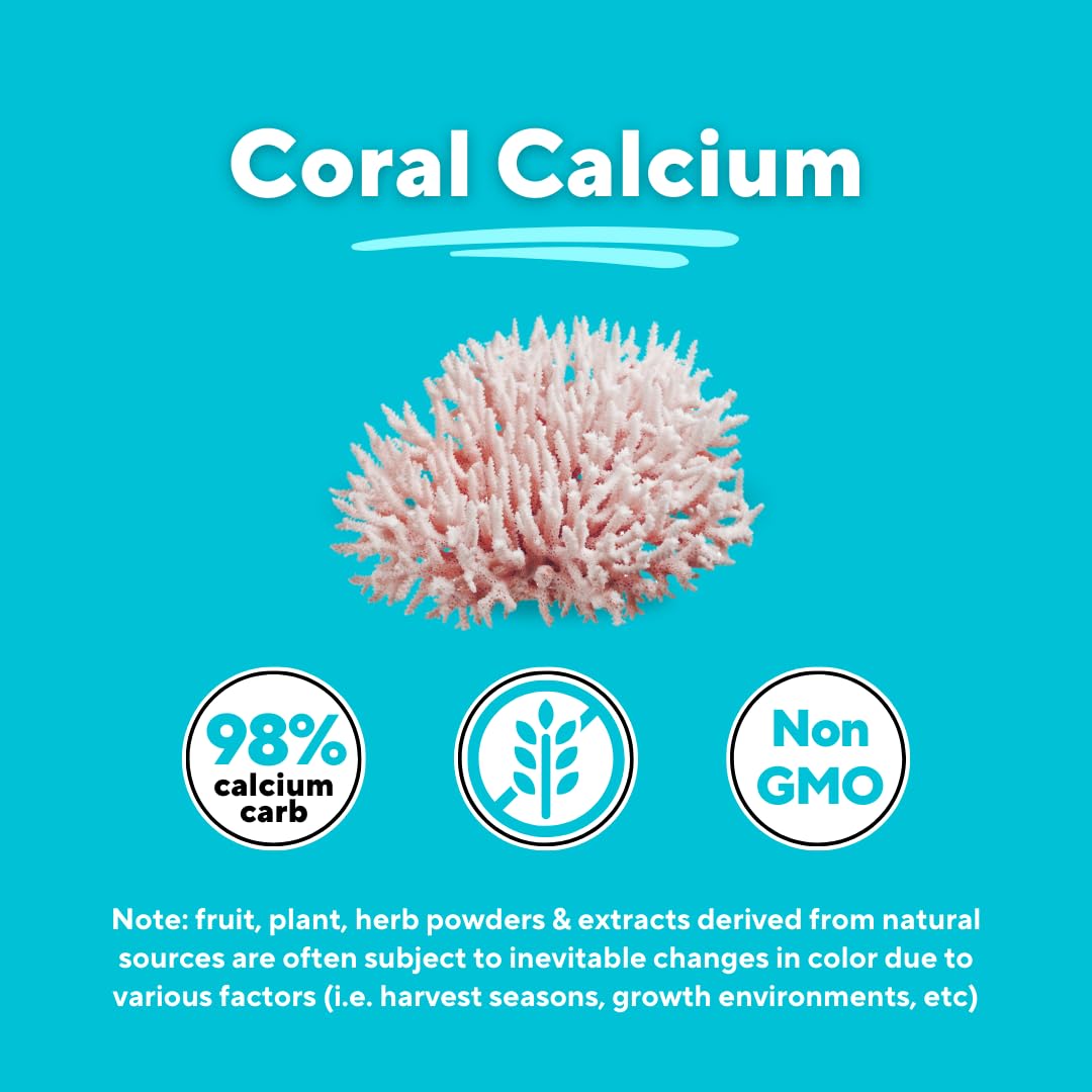 Vitapia Coral Calcium Powder 1000mg Capsules for Overall Health, Bone Health, PH Level Balance, Trace Minerals Support - 120 Veggie Capsules - Non-GMO & Gluten-Free Supplement - PrimeBioHealth - canada supplements