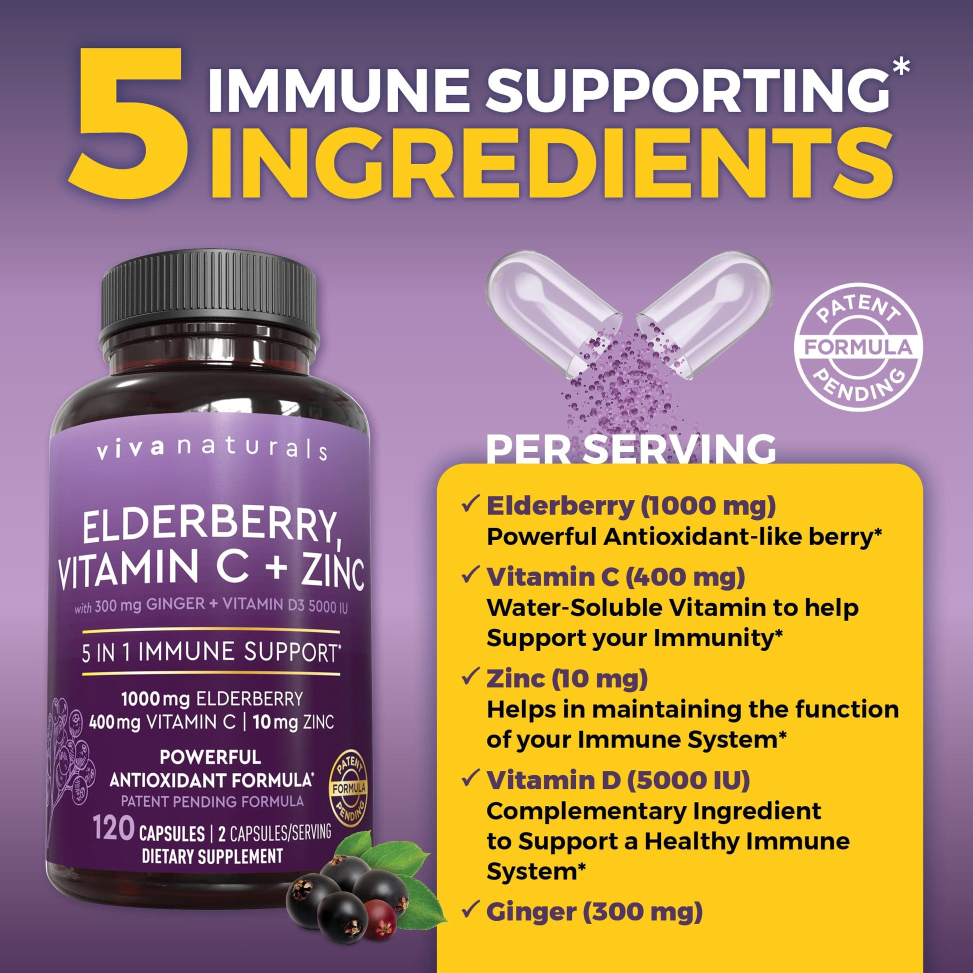 Viva Naturals Elderberry with Vitamin C and Zinc for Adults - 5 in 1 Sambucus Black Elderberry Capsules with Vitamin D3 5000 IU Immunity Supplement - PrimeBioHealth - canada supplements