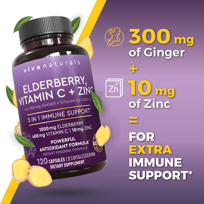 Viva Naturals Elderberry with Vitamin C and Zinc for Adults - 5 in 1 Sambucus Black Elderberry Capsules with Vitamin D3 5000 IU Immunity Supplement - PrimeBioHealth - canada supplements