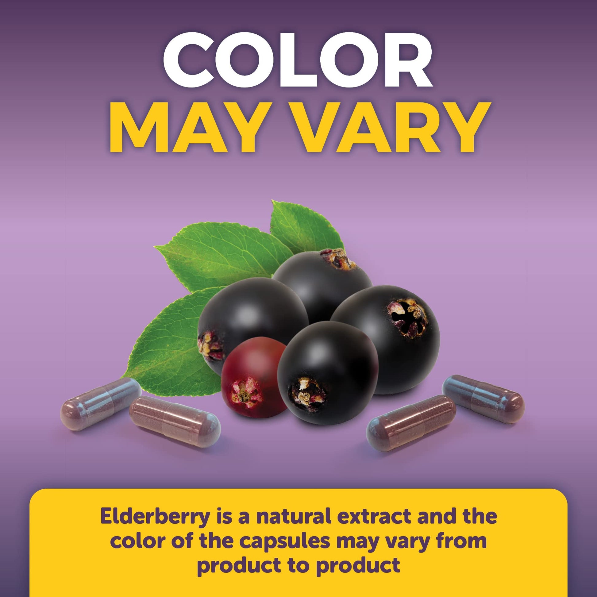 Viva Naturals Elderberry with Vitamin C and Zinc for Adults - 5 in 1 Sambucus Black Elderberry Capsules with Vitamin D3 5000 IU Immunity Supplement - PrimeBioHealth - canada supplements