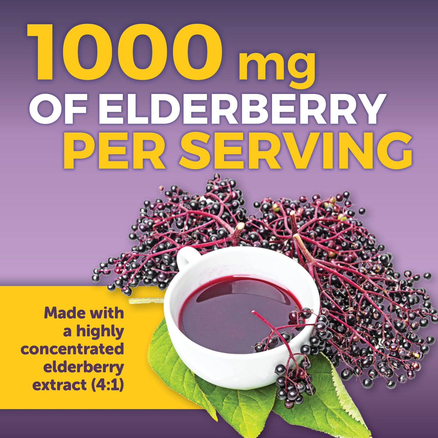 Viva Naturals Elderberry with Vitamin C and Zinc for Adults - 5 in 1 Sambucus Black Elderberry Capsules with Vitamin D3 5000 IU Immunity Supplement - PrimeBioHealth - canada supplements