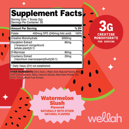 Wellah Creatine for Women - Creatine Monohydrate with Dandelion & Cranberry Extract (50 Servings, Strawberry Lemonade) | Creatine Monohydrate with Dandelion & Cranberry Extract - PrimeBioHealth - canada supplements