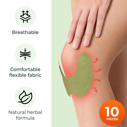 Wellnee Knee & Joint Wellness Bundle – Herbal Patches (30 pcs) & Support Capsules (90 servings) - PrimeBioHealth - canada supplements
