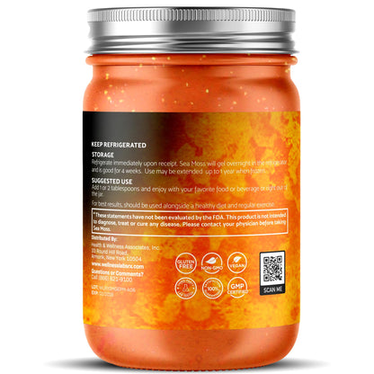 WELLNESS LABSRX Irish Sea Moss Gel Raw - Wildcrafted Superfood Seamoss Gel - Pineapple Mango Flavor, Vitamin and Mineral-Rich from Pristine Caribbean Waters - 10 oz. - PrimeBioHealth - canada supplements