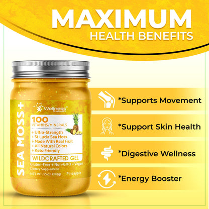 WELLNESS LABSRX Irish Sea Moss Gel Raw - Wildcrafted Superfood Seamoss Gel - Pineapple Mango Flavor, Vitamin and Mineral-Rich from Pristine Caribbean Waters - 10 oz. - PrimeBioHealth - canada supplements