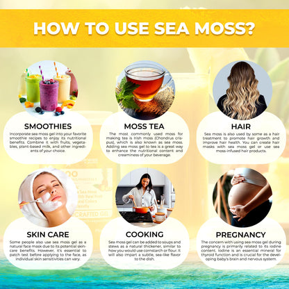WELLNESS LABSRX Irish Sea Moss Gel Raw - Wildcrafted Superfood Seamoss Gel - Pineapple Mango Flavor, Vitamin and Mineral-Rich from Pristine Caribbean Waters - 10 oz. - PrimeBioHealth - canada supplements