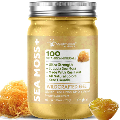 WELLNESS LABSRX Irish Sea Moss Gel Raw - Wildcrafted Superfood Seamoss Gel - Pineapple Mango Flavor, Vitamin and Mineral-Rich from Pristine Caribbean Waters - 10 oz. - PrimeBioHealth - canada supplements