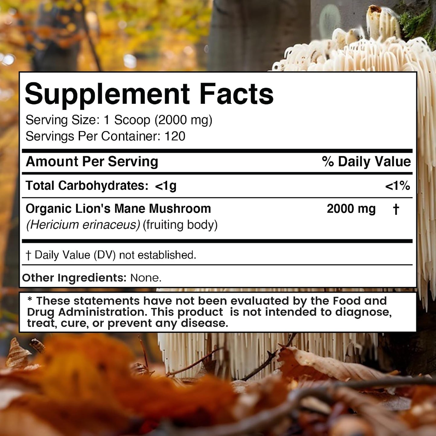 WELLNESS LABSRX Lions Mane Powder 2000mg - Mushroom Coffee Blend | Bundle - PrimeBioHealth - canada supplements