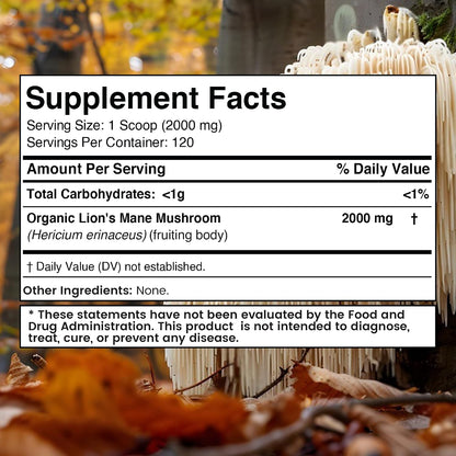 WELLNESS LABSRX Lions Mane Powder 2000mg - Mushroom Coffee Blend | Bundle - PrimeBioHealth - canada supplements