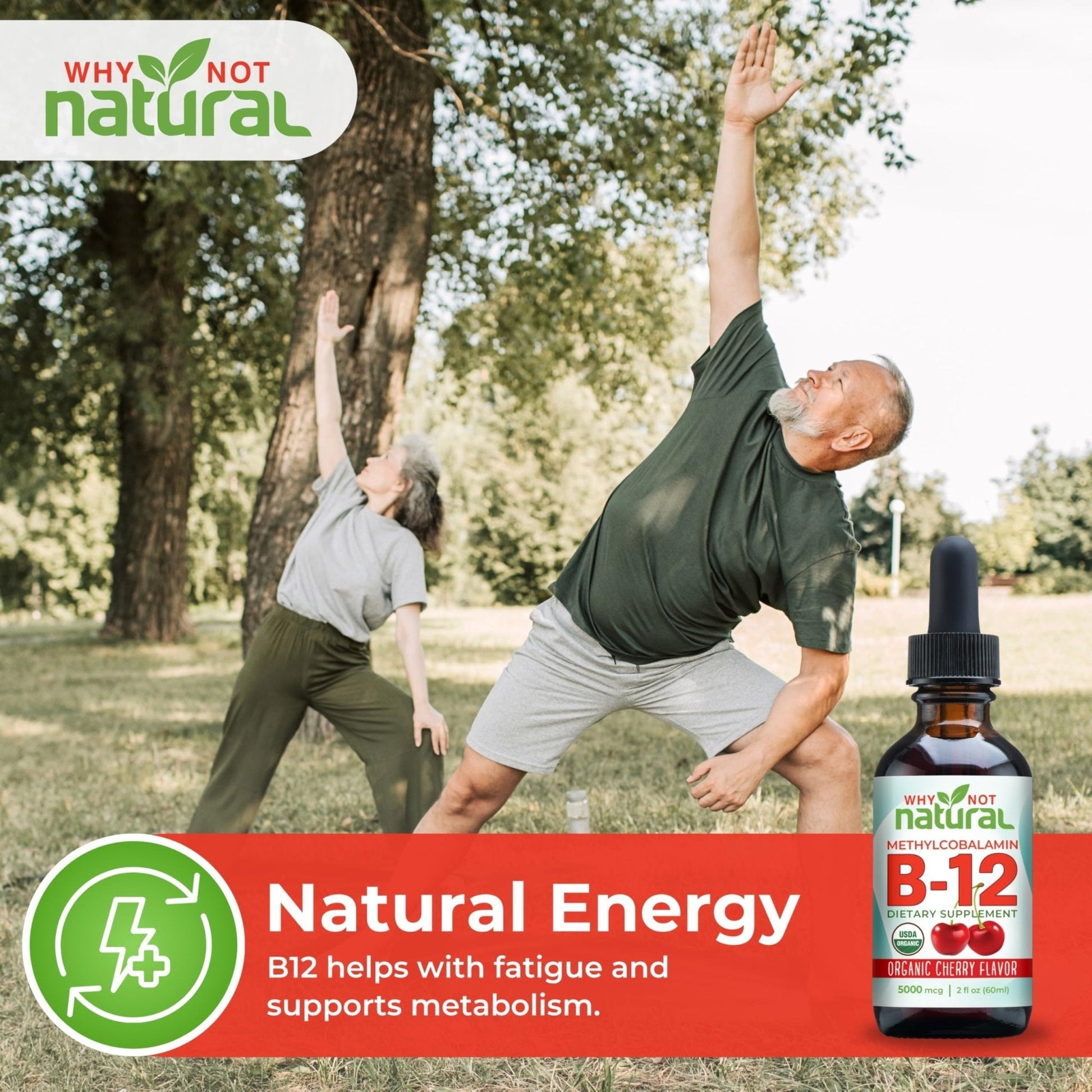 Why Not Natural Organic Vitamin B12 Liquid - Sublingual Extra Strength 60 x 5000 mcg Methylcobalamin Drops, Vegan, - PrimeBioHealth - canada supplements