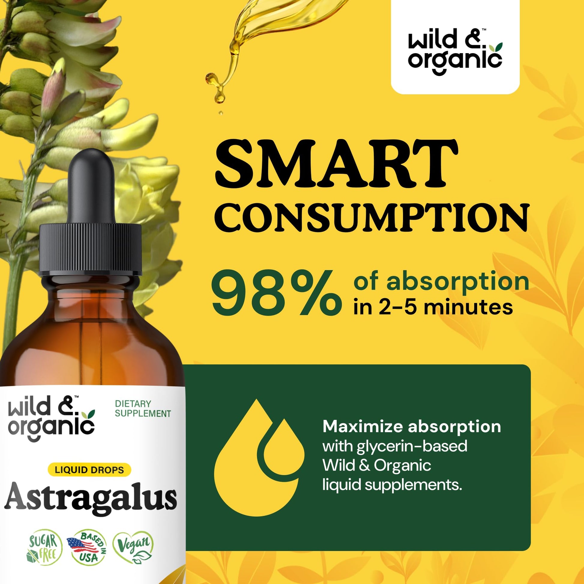 Wild & Organic Astragalus Root Extract Drops - Immune Support - Liquid Astragalus Supplement - Add to Tea & Mix with Powder - Membranaceus Herb - Vegan, Sugar & Alcohol-Free Tincture - 4 fl oz - PrimeBioHealth - canada supplements