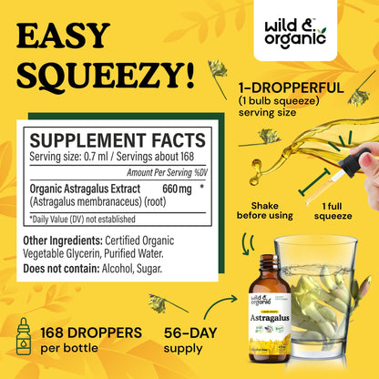Wild & Organic Astragalus Root Extract Drops - Immune Support - Liquid Astragalus Supplement - Add to Tea & Mix with Powder - Membranaceus Herb - Vegan, Sugar & Alcohol-Free Tincture - 4 fl oz - PrimeBioHealth - canada supplements