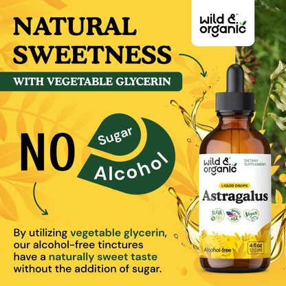 Wild & Organic Astragalus Root Extract Drops - Immune Support - Liquid Astragalus Supplement - Add to Tea & Mix with Powder - Membranaceus Herb - Vegan, Sugar & Alcohol-Free Tincture - 4 fl oz - PrimeBioHealth - canada supplements