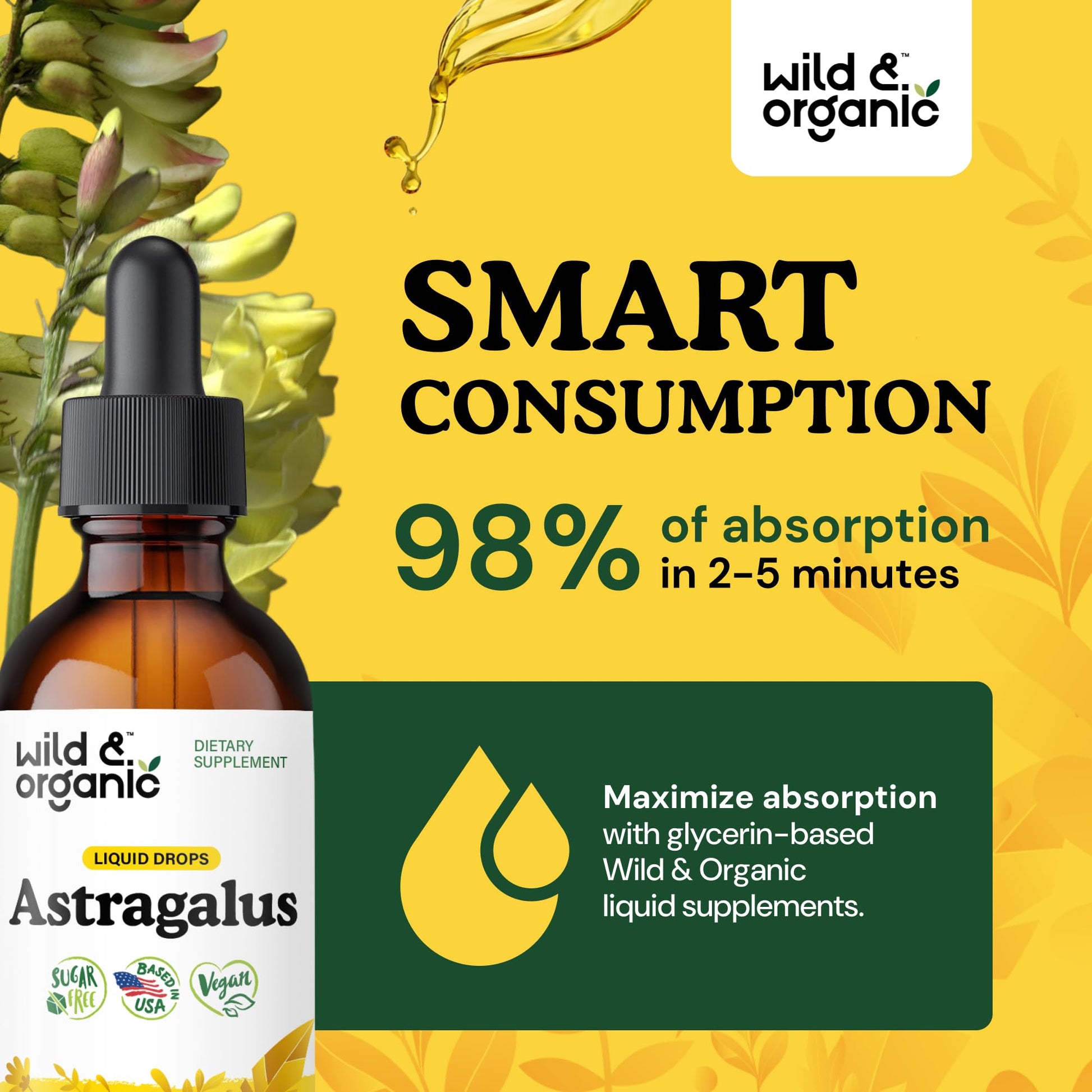 Wild & Organic Astragalus Root Extract Drops - Immune Support - Liquid Astragalus Supplement - Add to Tea & Mix with Powder - Membranaceus Herb - Vegan, Sugar & Alcohol-Free Tincture - 4 fl oz - PrimeBioHealth - canada supplements