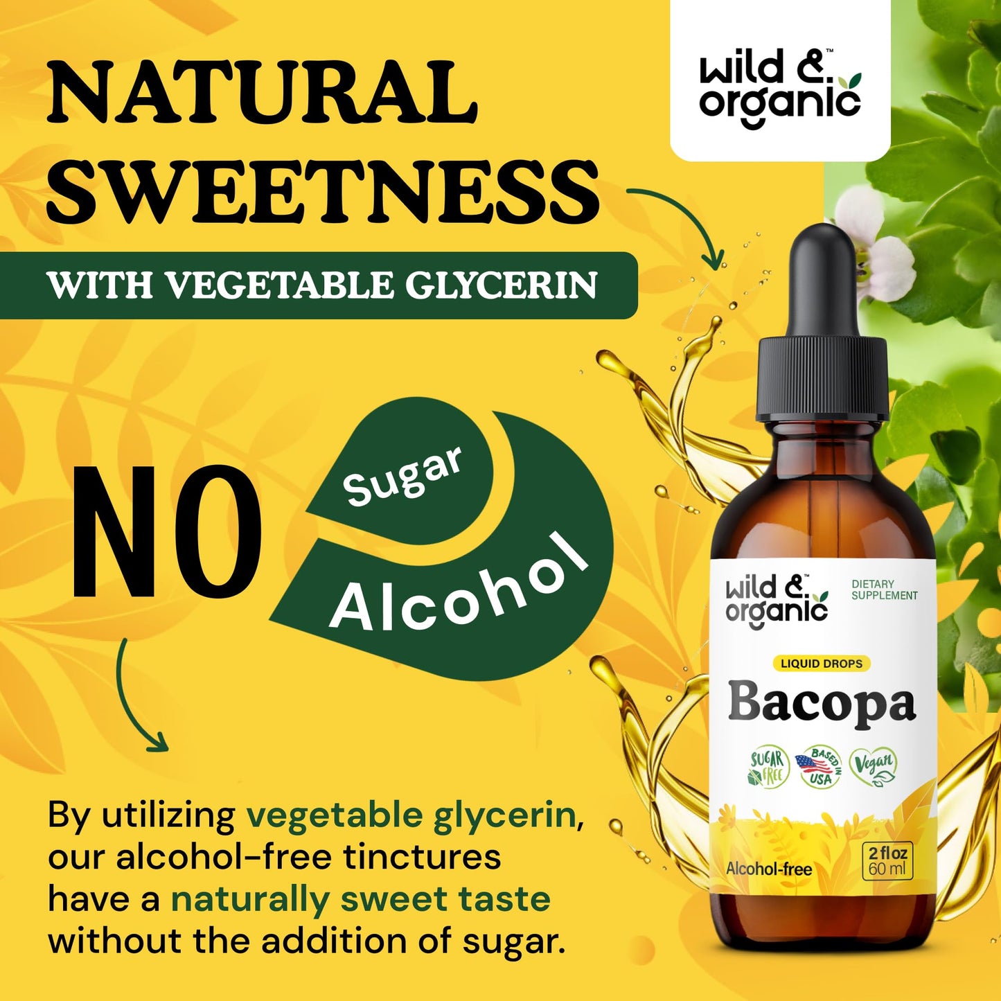 Wild & Organic Bacopa Monnieri Supplement - Brain & Focus Support - Bacopa Extract Liquid Drops - Brahmi Herb Tincture to Add to Tea - 5-Month Supply - Vegan, Sugar & Alcohol-Free - 4 fl oz - PrimeBioHealth - canada supplements