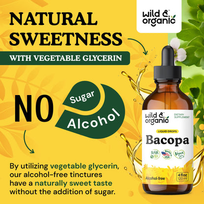 Wild & Organic Bacopa Monnieri Supplement - Brain & Focus Support - Bacopa Extract Liquid Drops - Brahmi Herb Tincture to Add to Tea - 5-Month Supply - Vegan, Sugar & Alcohol-Free - 4 fl oz - PrimeBioHealth - canada supplements