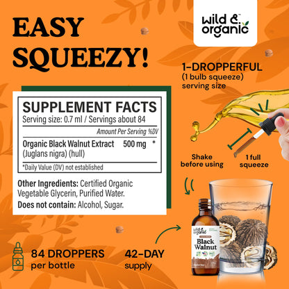 Wild & Organic Black Walnut Hull Tincture - Cleanse & Gut Support - Black Walnut Extract Supplement - Fast Absorption Liquid Drops - Add to Tea & Mix with Powder - Without Alcohol & Sugar - 4 fl oz - PrimeBioHealth - canada supplements
