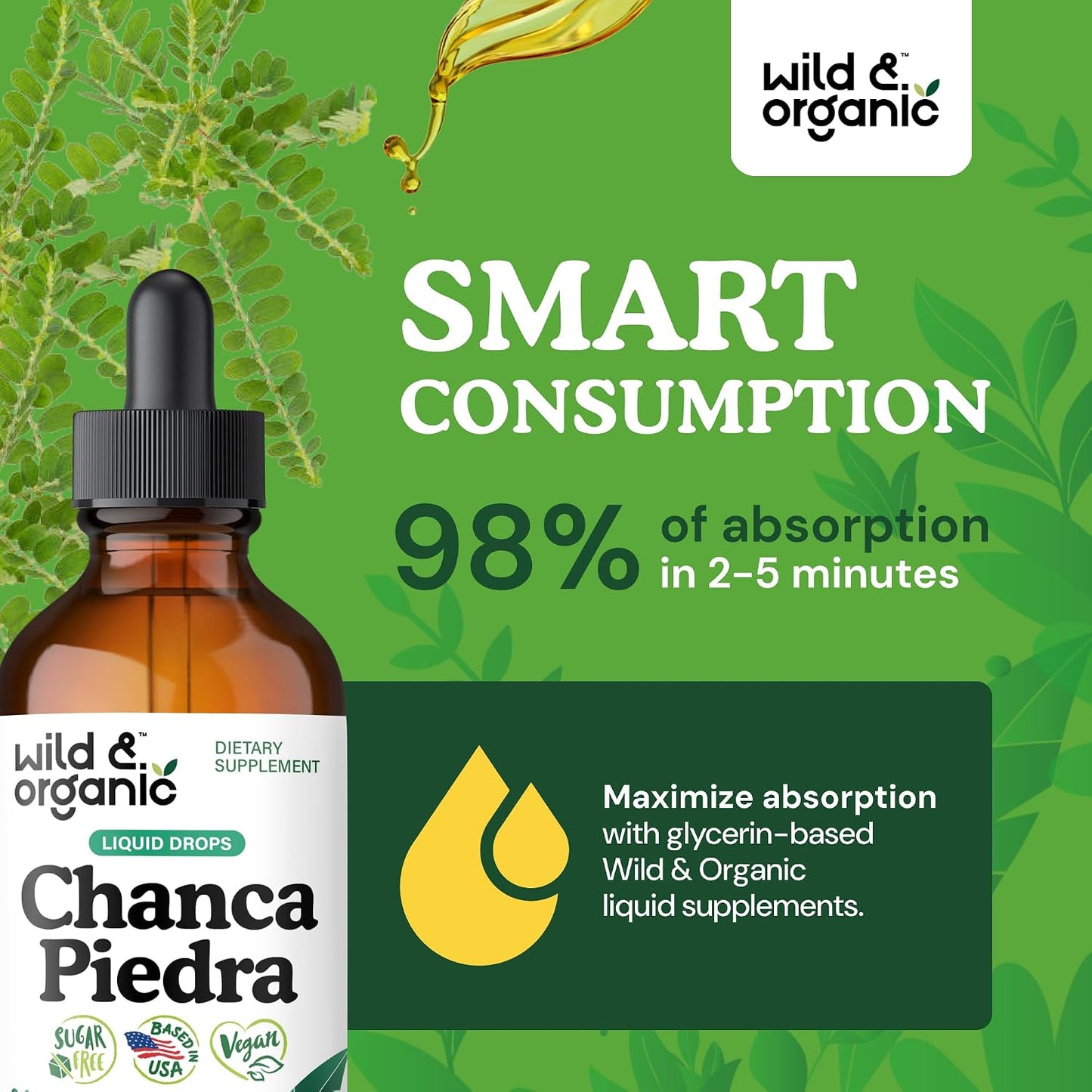 Wild & Organic Chanca Piedra Stone Breaker Drops - Kidney, Gallbladder & Urinary Support - Chanca Piedra Liquid Extract for Fast Absorption - Add to Tea Herb Tincture - Sugar & Alcohol-Free - 4 oz - PrimeBioHealth - canada supplements