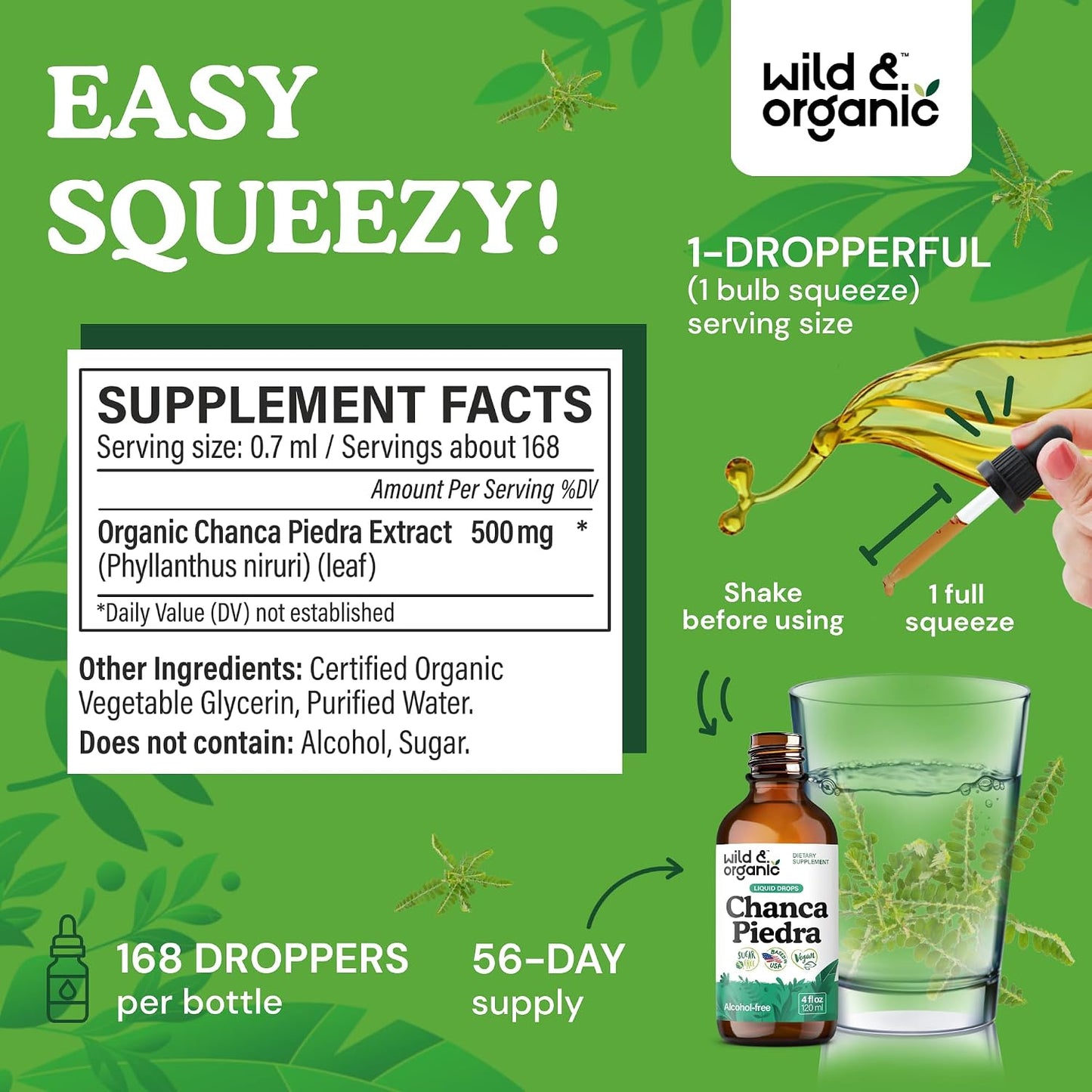 Wild & Organic Chanca Piedra Stone Breaker Drops - Kidney, Gallbladder & Urinary Support - Chanca Piedra Liquid Extract for Fast Absorption - Add to Tea Herb Tincture - Sugar & Alcohol-Free - 4 oz - PrimeBioHealth - canada supplements