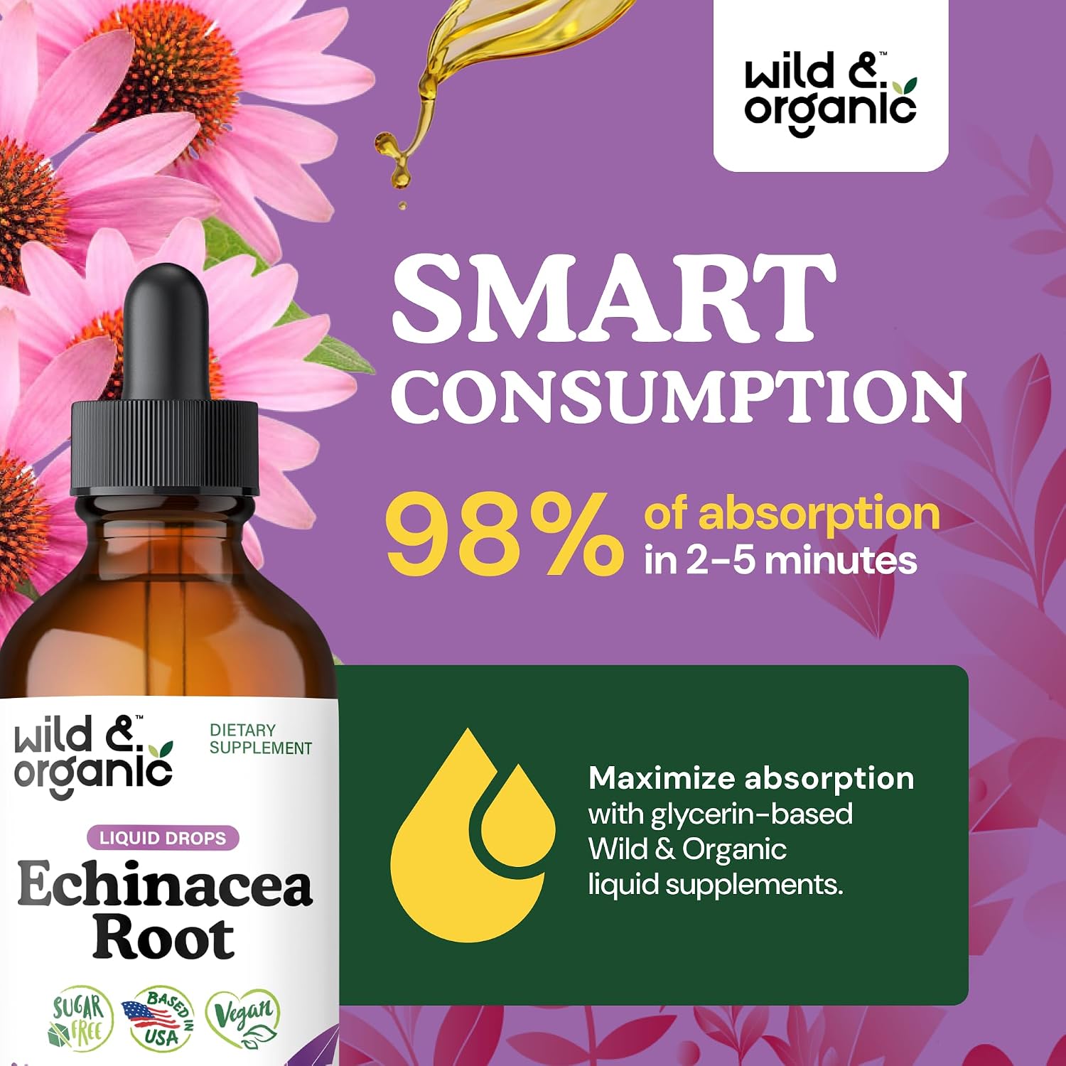 Wild & Organic Echinacea Drops - Immune & Lymphatic Drainage Drops - Liquid Echinacea Supplement - Add to Tea Tincture - Angustifolia Herb Extract - Vegan, Sugar & Alcohol-Free - 4 fl oz - PrimeBioHealth - canada supplements
