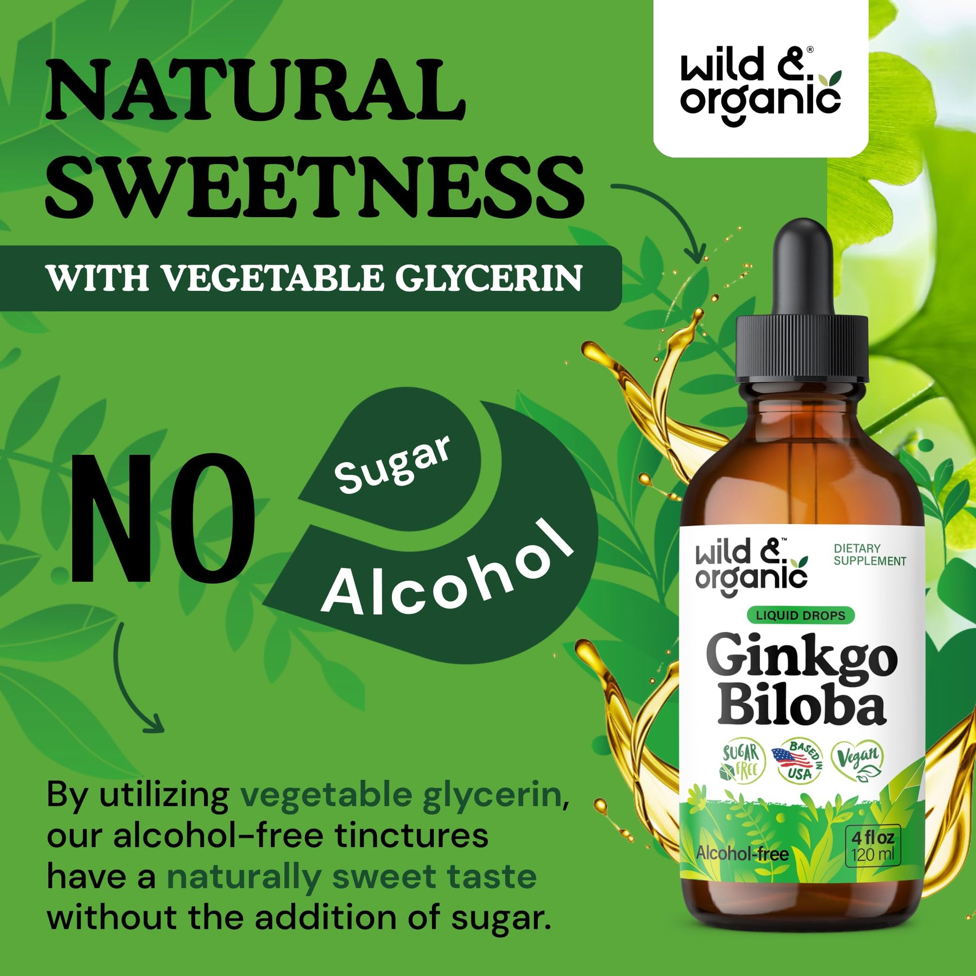 Wild & Organic Ginkgo Biloba Extract Drops - Brain & Focus Support - Liquid Ginkgo Biloba Supplements - Vegan, Sugar & Alcohol-Free Herbal Tincture - 4 fl oz - PrimeBioHealth - canada supplements