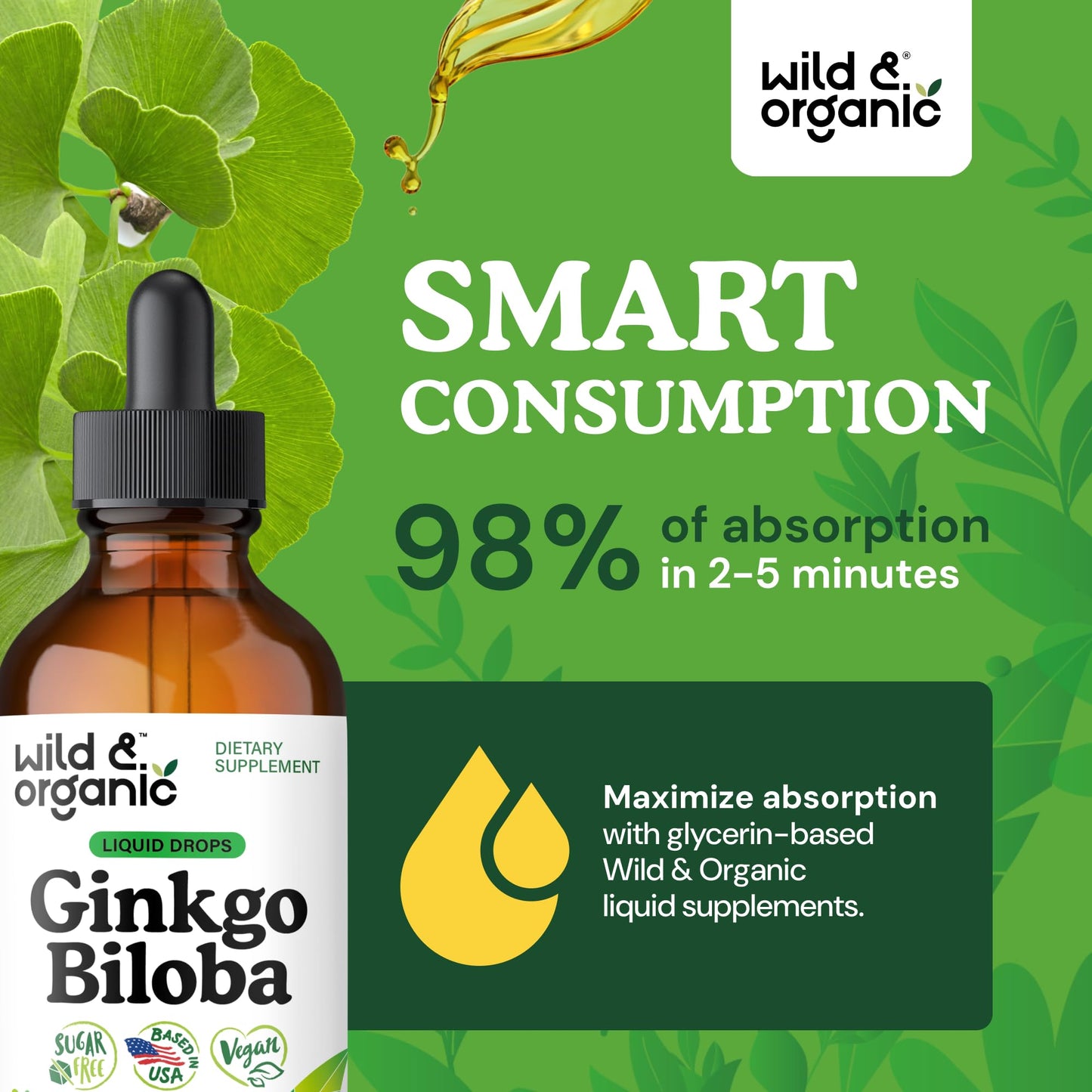 Wild & Organic Ginkgo Biloba Extract Drops - Brain & Focus Support - Liquid Ginkgo Biloba Supplements - Vegan, Sugar & Alcohol-Free Herbal Tincture - 4 fl oz - PrimeBioHealth - canada supplements