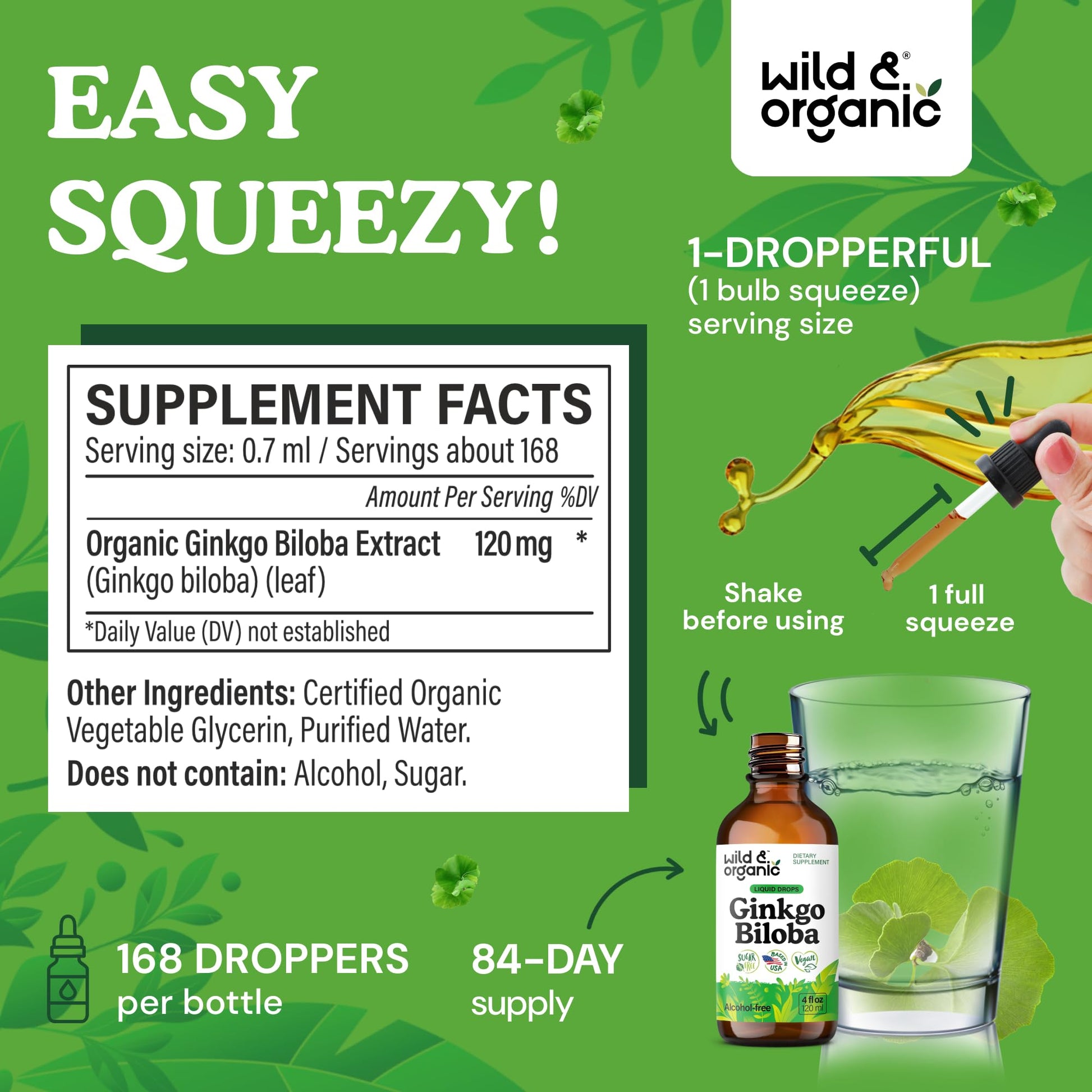 Wild & Organic Ginkgo Biloba Extract Drops - Brain & Focus Support - Liquid Ginkgo Biloba Supplements - Vegan, Sugar & Alcohol-Free Herbal Tincture - 4 fl oz - PrimeBioHealth - canada supplements